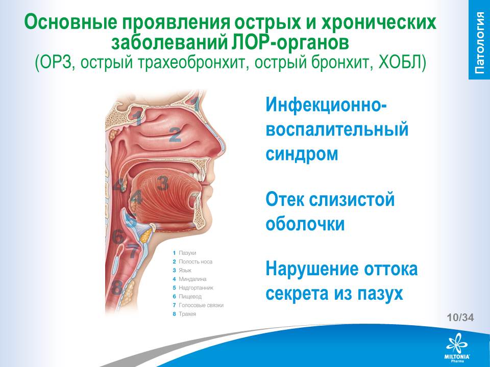 slide_10