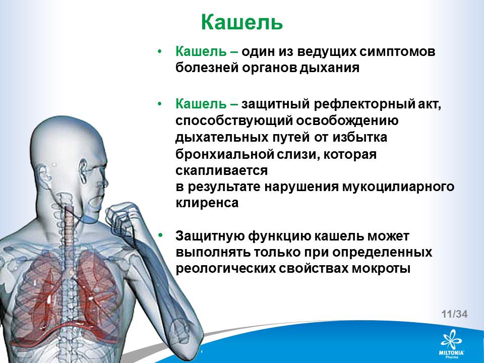 slide_11