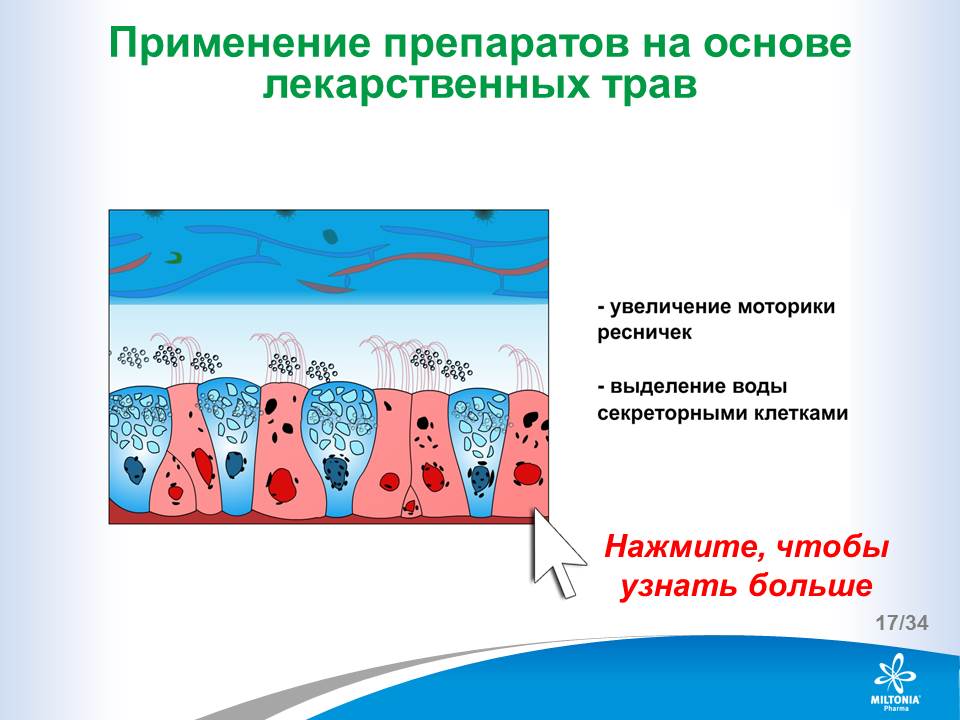 slide_17