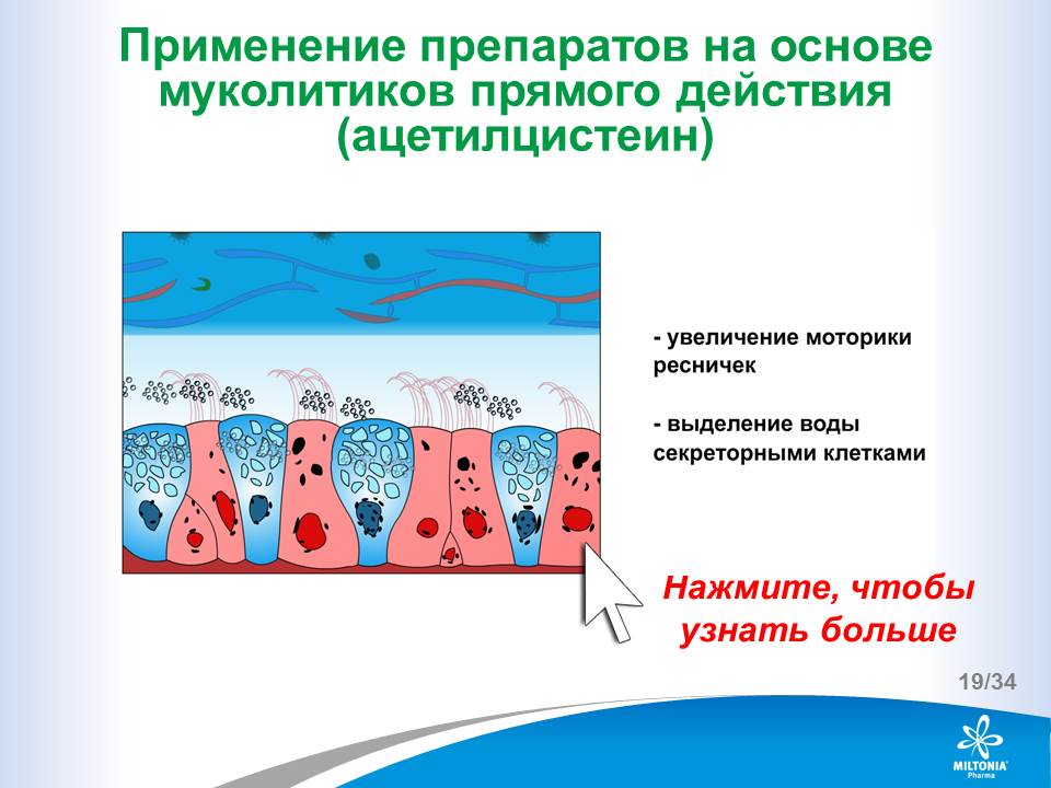 slide_19