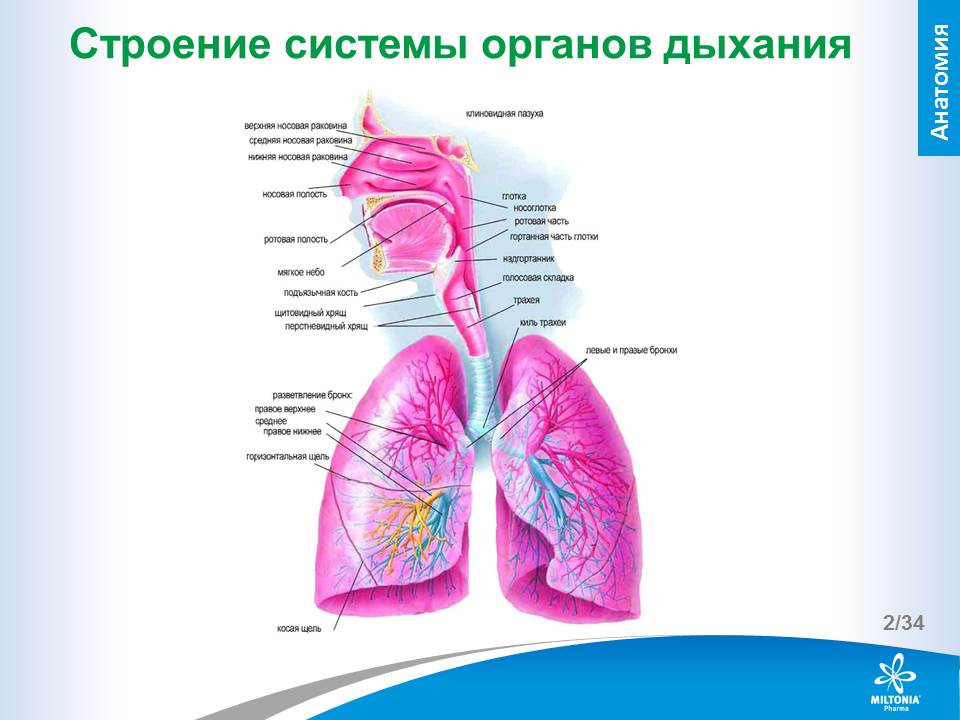slide_2