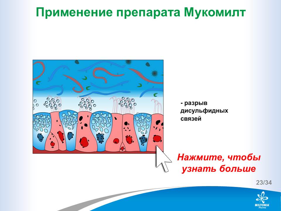 slide_23