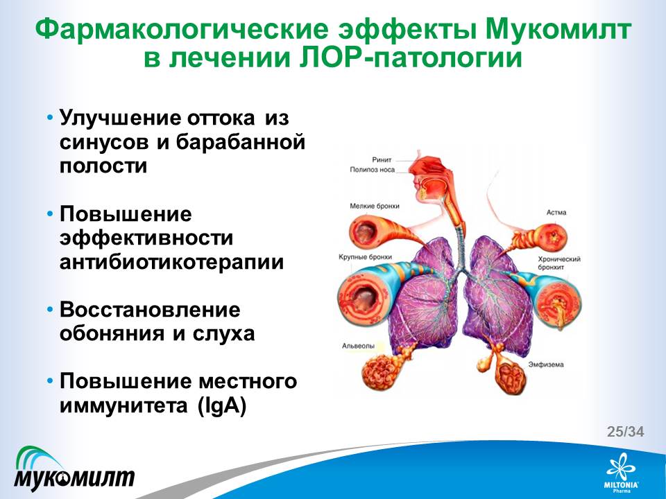 slide_25