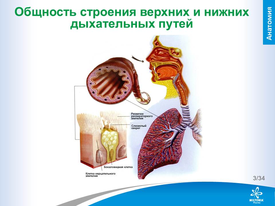 slide_3