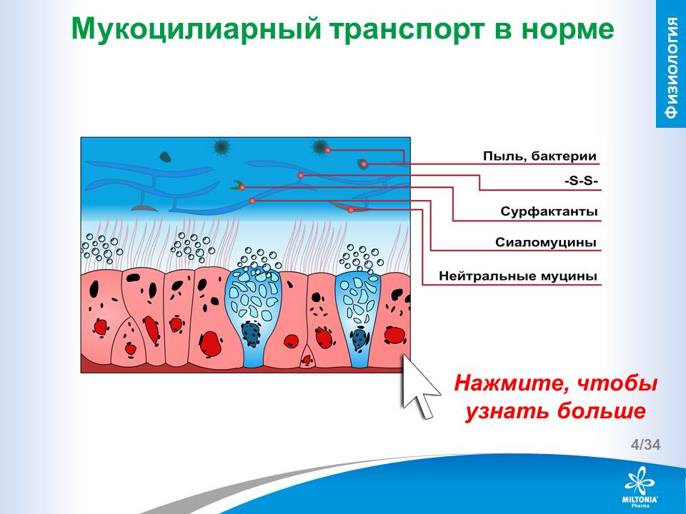 slide_4