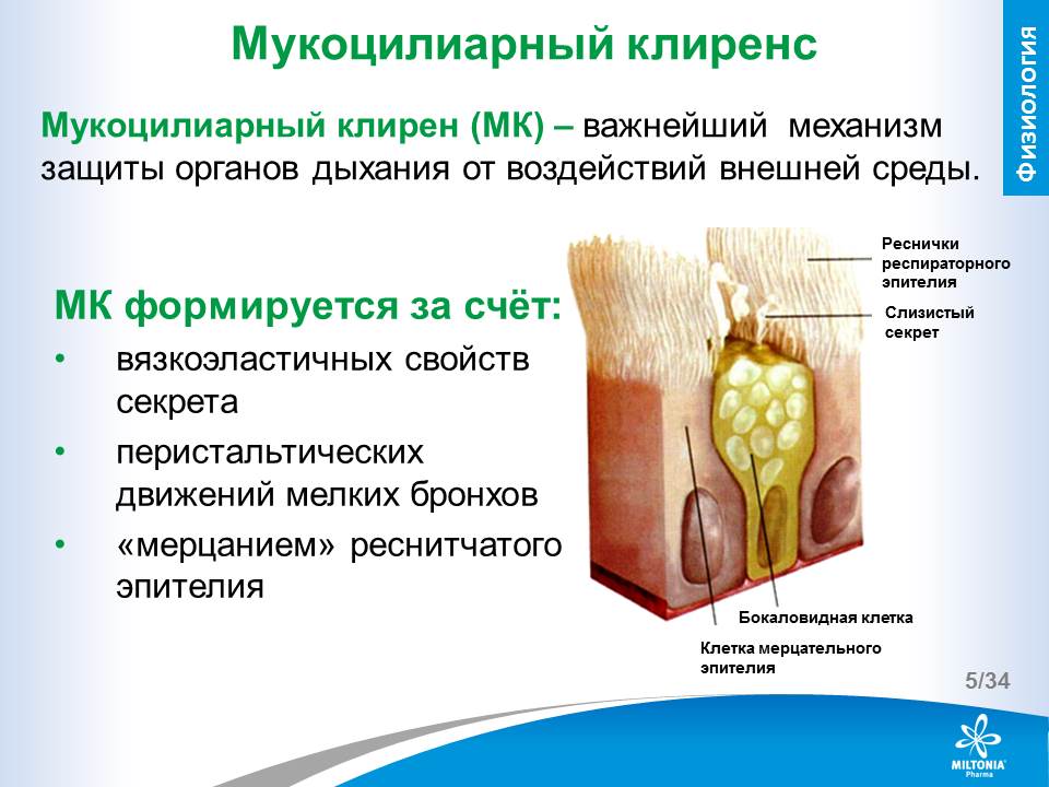 slide_5