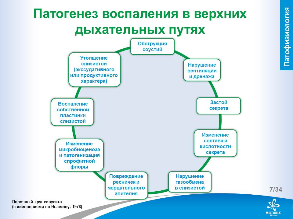 slide_7