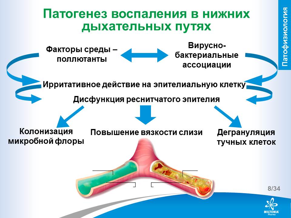 slide_8